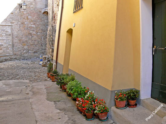 P1070857
