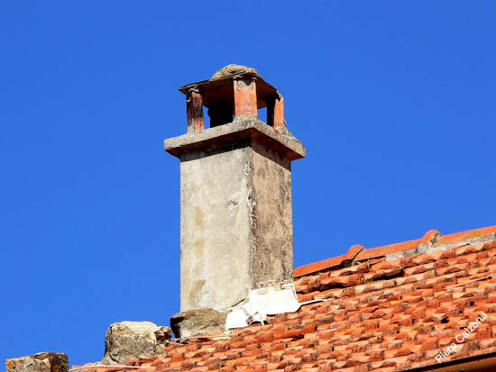 P1070869