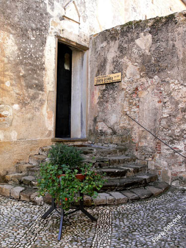 P1070850