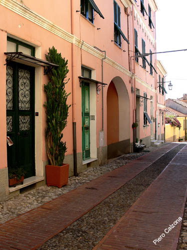 P1070862