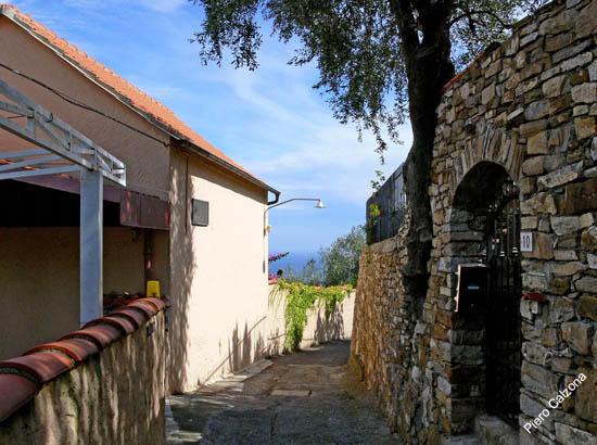 P1080093