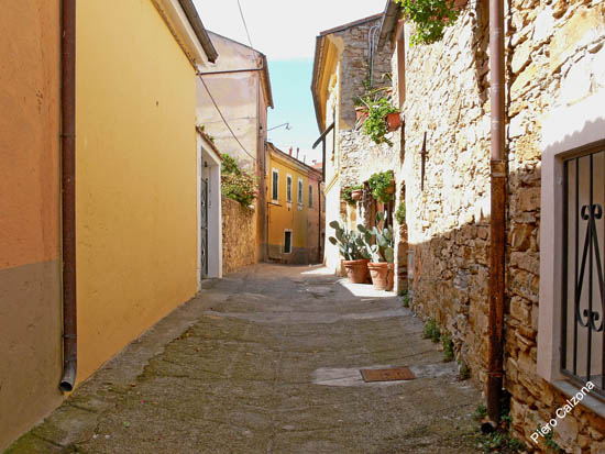 P1080095