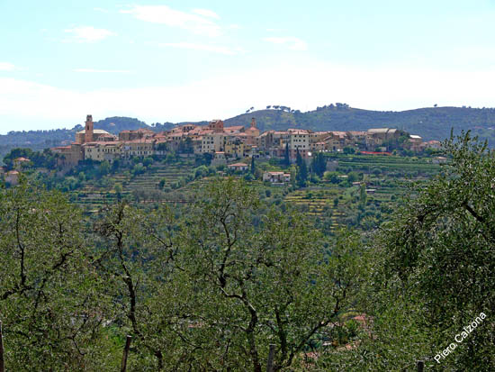 P1080098