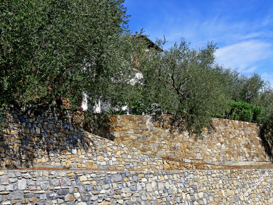 P1080104
