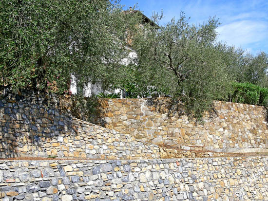 P1080107