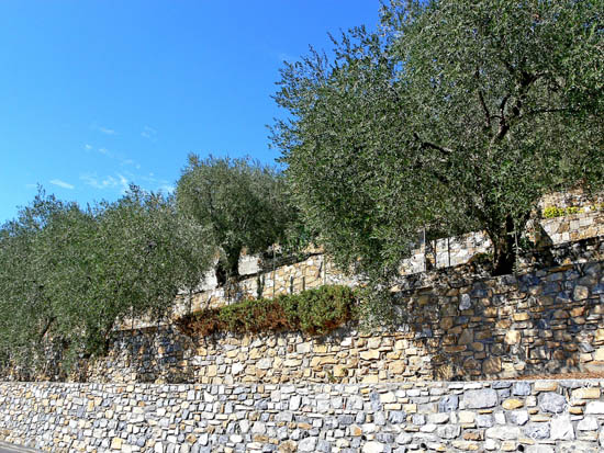 P1080116