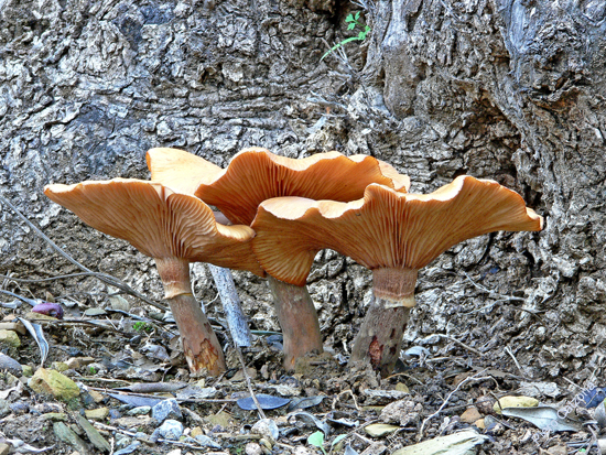 P1100820