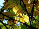 P1100735