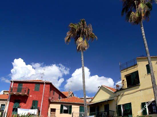 P1060903
