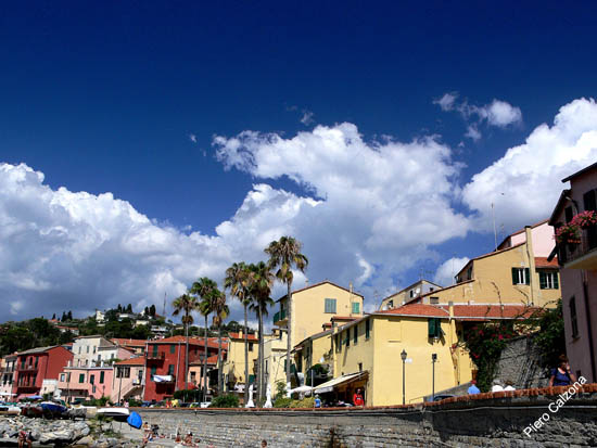 P1060909