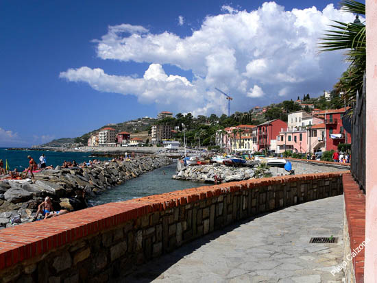 P1060910