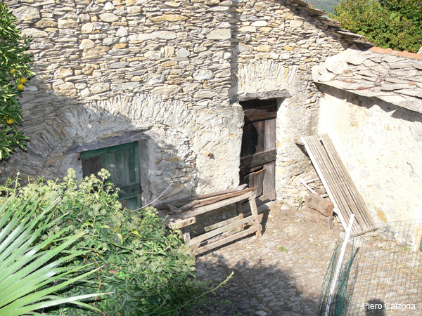 P1160681