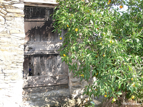 P1160689