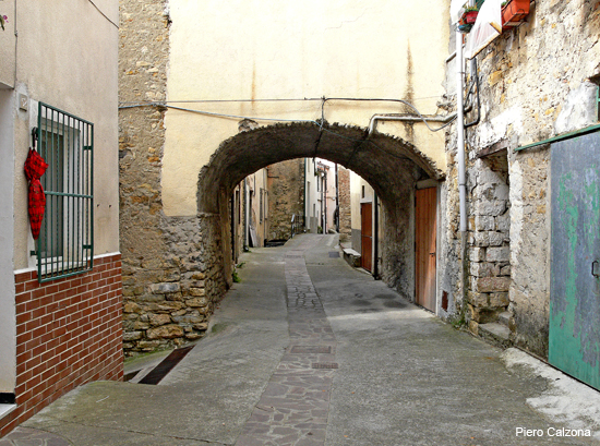 P1150554