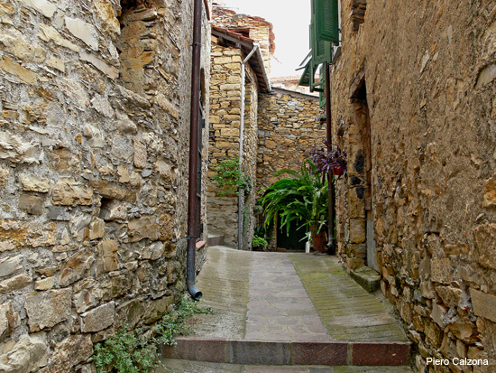 P1150569