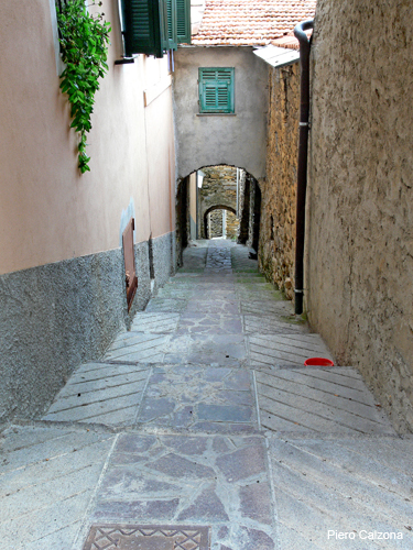 P1150524