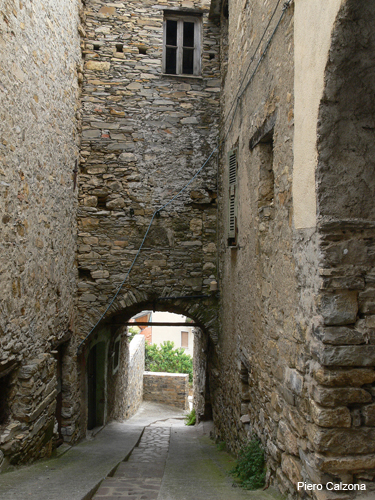 P1150550