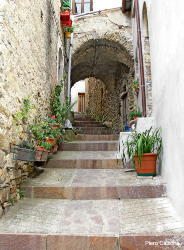 P1150553