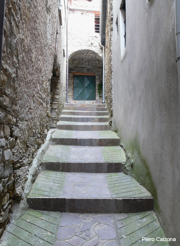 P1150561