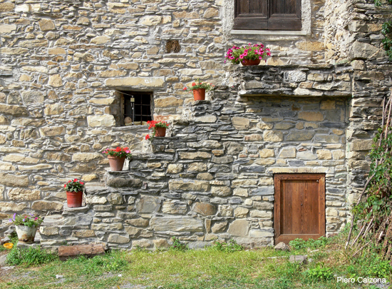 P1150951