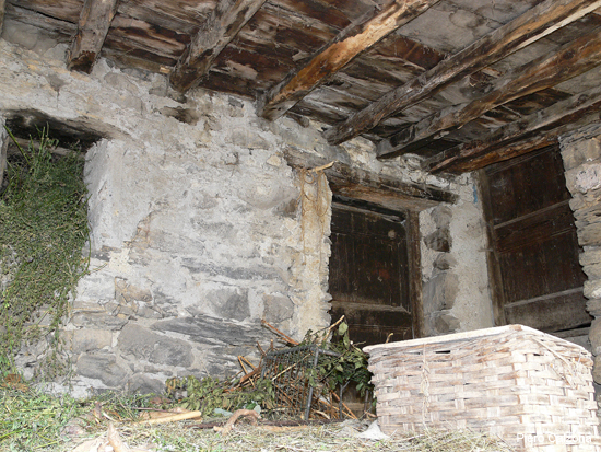 P1150968