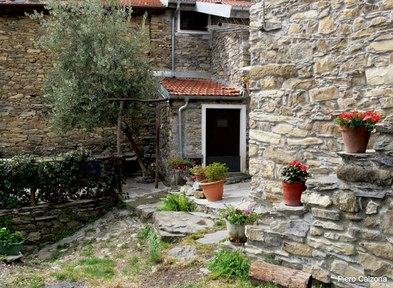 P1150979