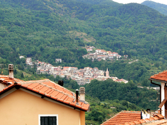 P1160049