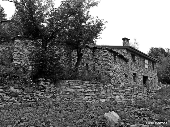 P1160067