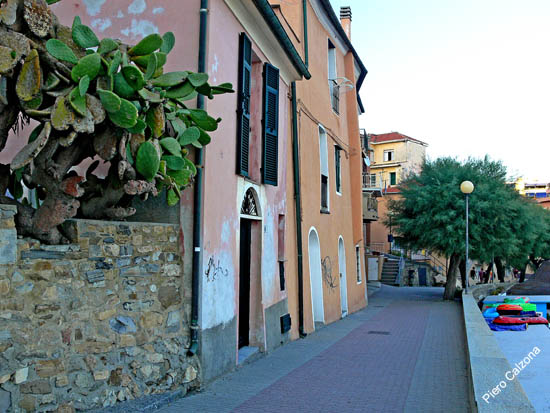 P1080450