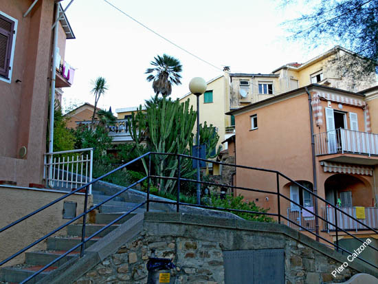 P1080466