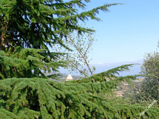 P1070602