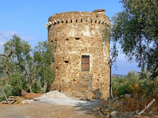 P1070607