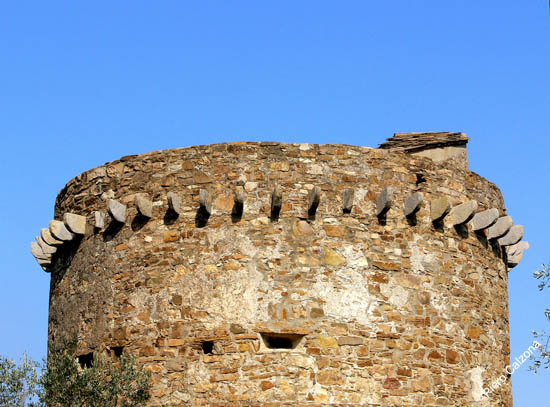 P1070615