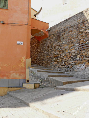 P1070555