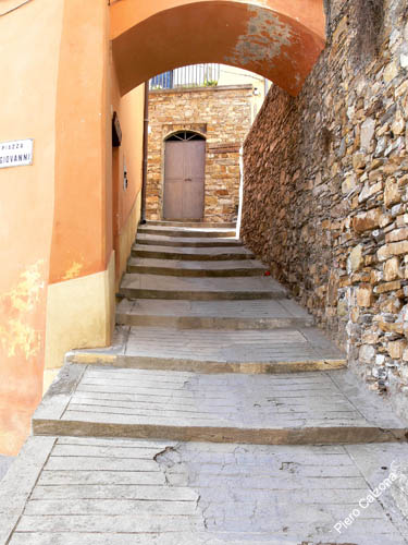 P1070566