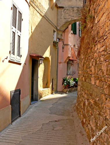 P1070575