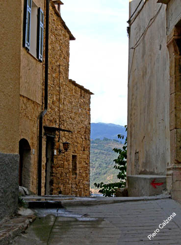 P1070579