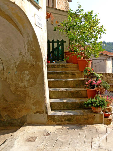 P1070592