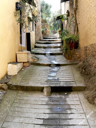 P1070599