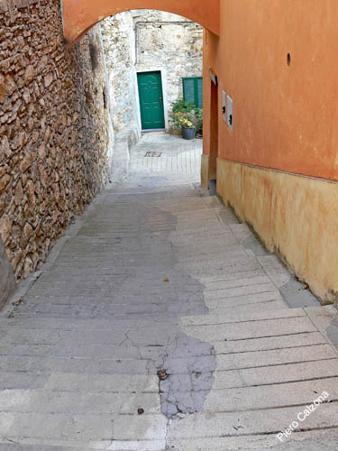 P1070654