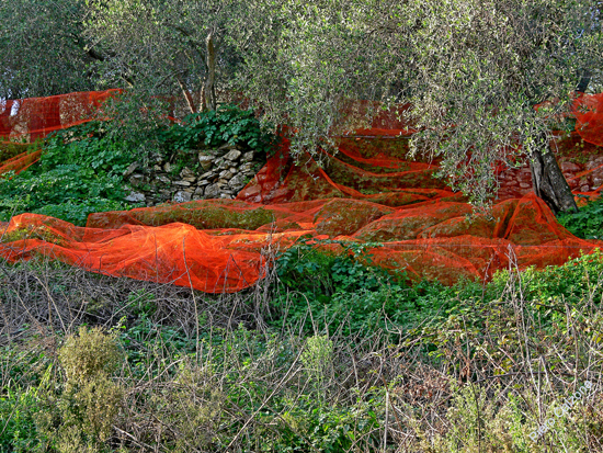 P1100703