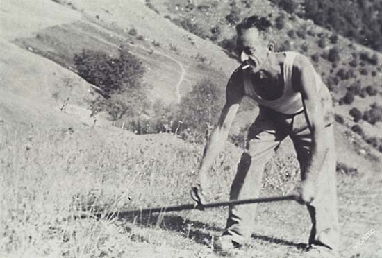 papà jose