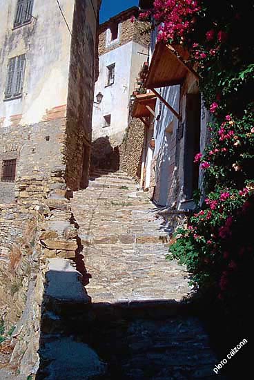 v148-38