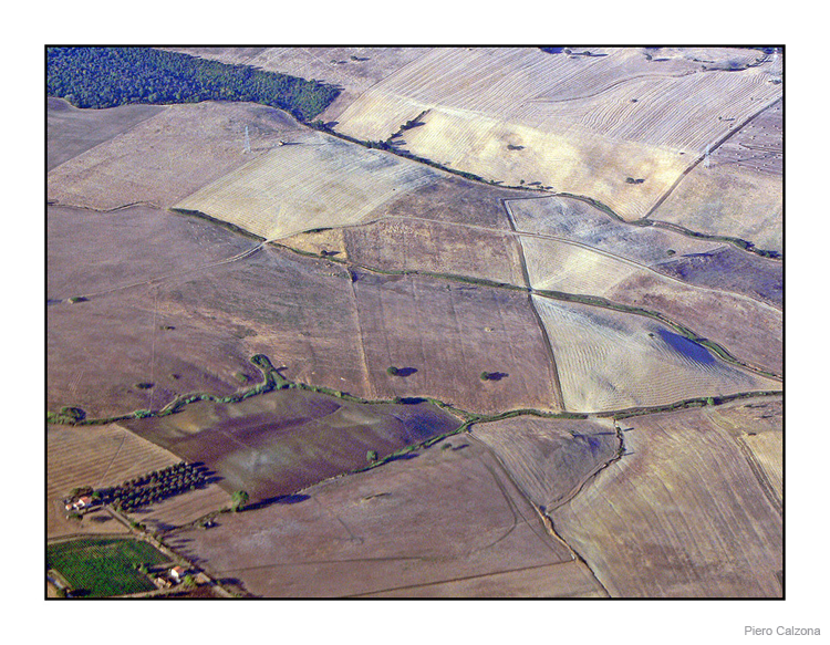 Fields 01