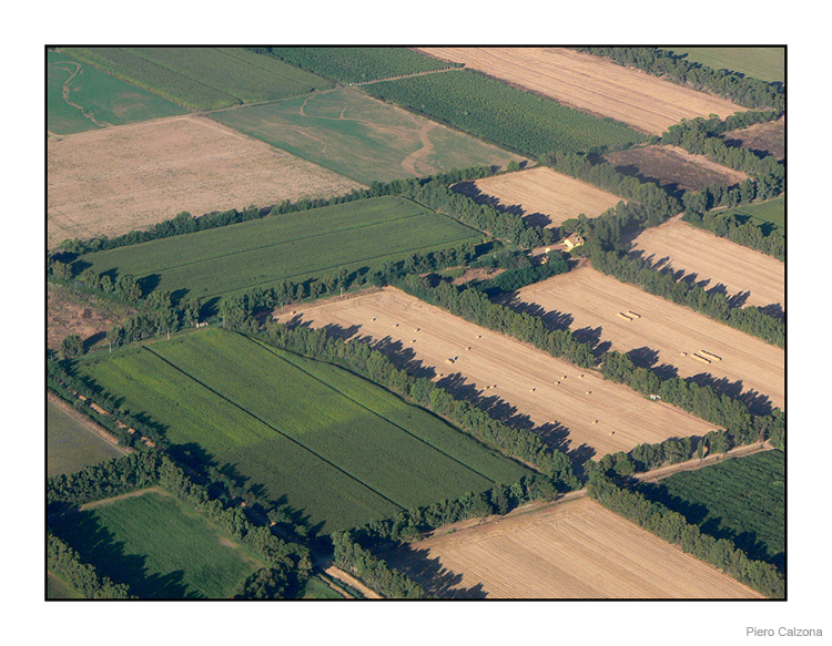 Fields 02