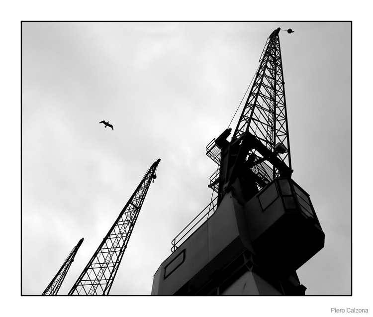 Flight