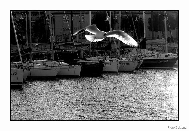 Magic Flight