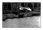 Magic Flight
