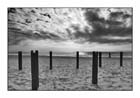 Mare d'inverno 10