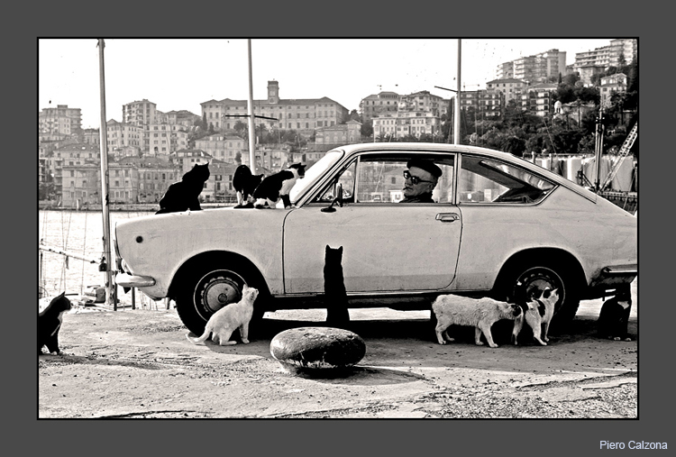 I Gatti di Oneglia